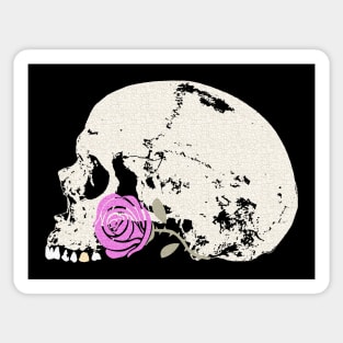 Skull and Pink Rose Sticker